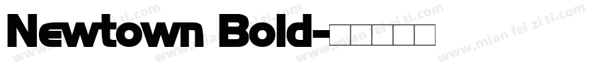 Newtown Bold字体转换